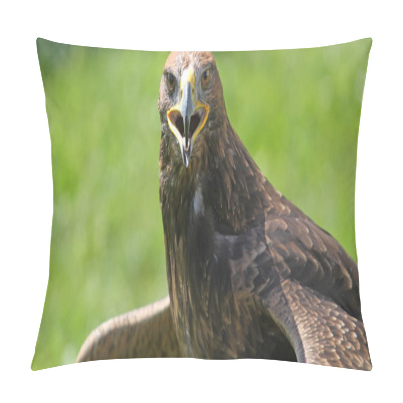 Personality  Eagle With Open Beak That Looks The Camera Pillow Covers