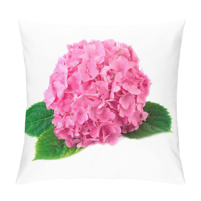 Personality  Hortensia Flower Close Up. Pink Hydrangea Flowers Isolated On White Background Pillow Covers