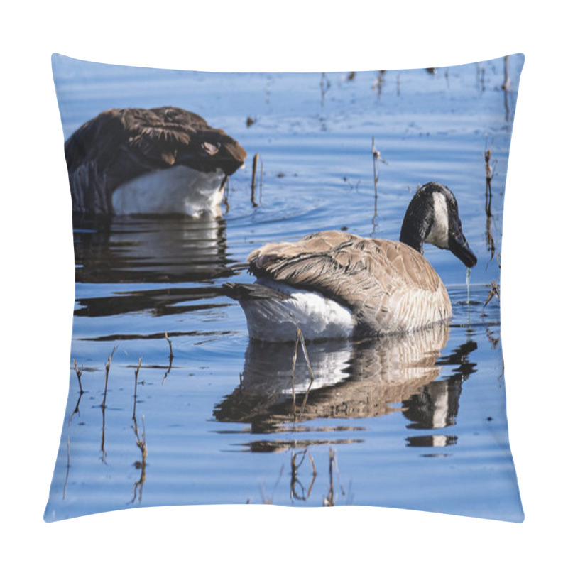 Personality  Canadian Geese Feeding In The Wetlands Of Their Winter Home At Bosque Del Apache National Wildlife Refuge Pillow Covers