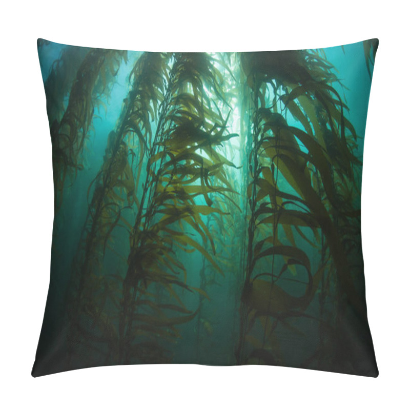 Personality  Kelp Forest Underwater In California Pillow Covers