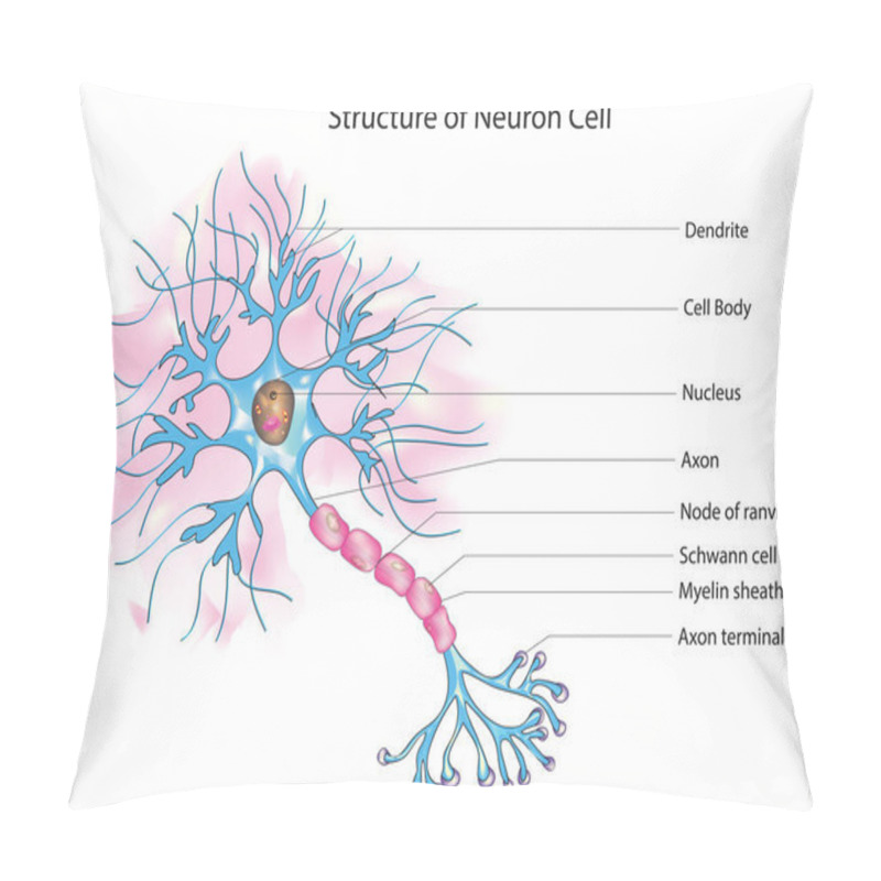 Personality  Labeled Neuron Diagram (Structure Of Neuron Cell) Pillow Covers