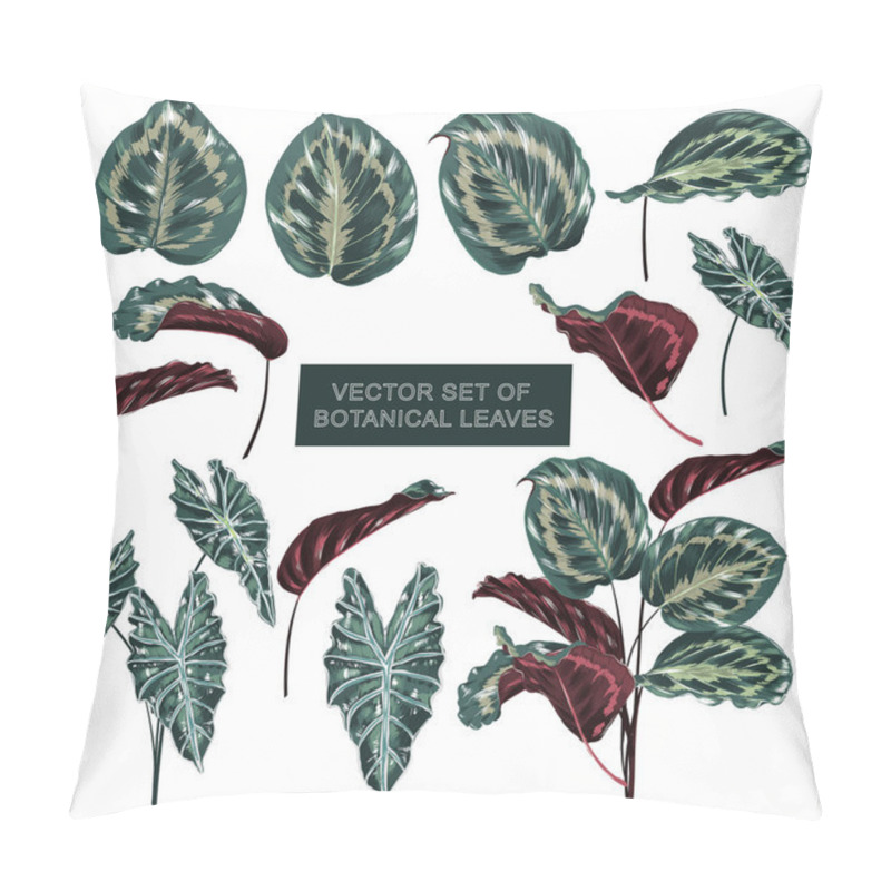 Personality  Set Of Botanical Plants In Exotic Forest  In Vector Hand Drawn Design On White Background Pillow Covers