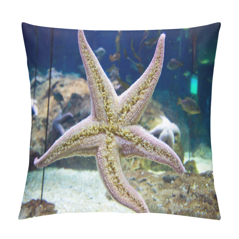 Personality  Starfish Pillow Covers