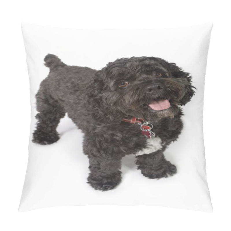 Personality  Black Bichon-cocker Spaniel Dog Pillow Covers