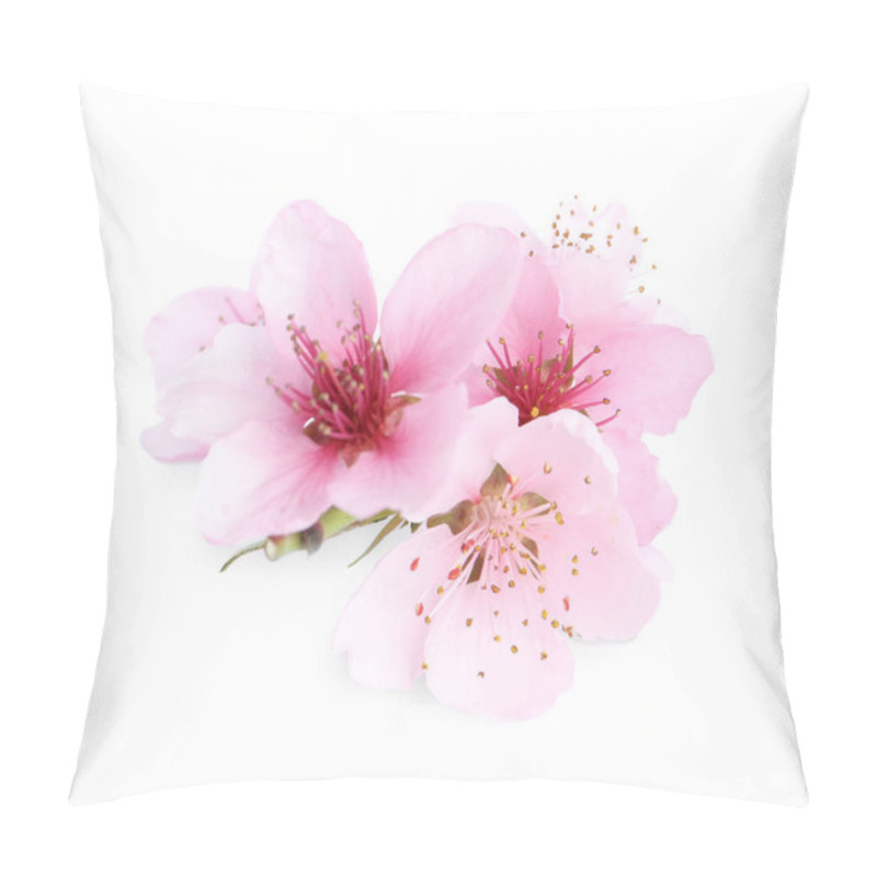 Personality  Beautiful Tree Blossom Isolated On White. Spring Season Pillow Covers