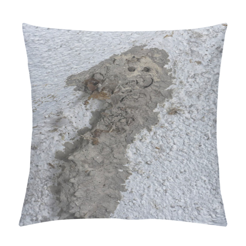 Personality  Abandoned Nest Of The Mud Dauber Wasp Pillow Covers