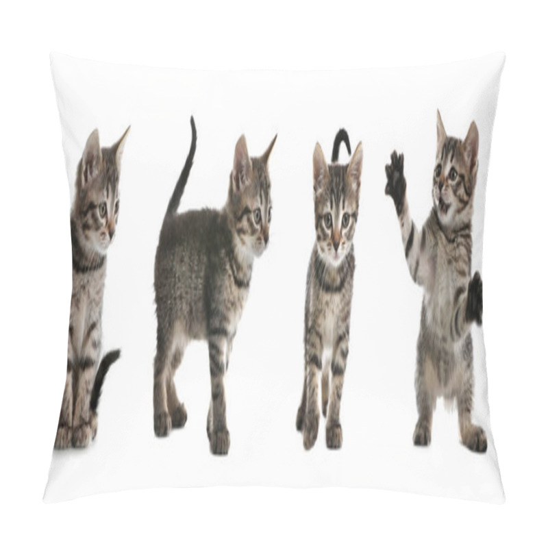 Personality  Adorable Tabby Kittens On White Background, Collage. Banner Design Pillow Covers