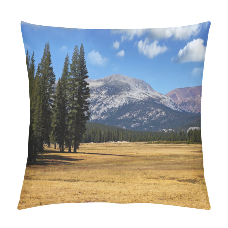 Personality  A Quiet Part Of Yosemite Park Pillow Covers