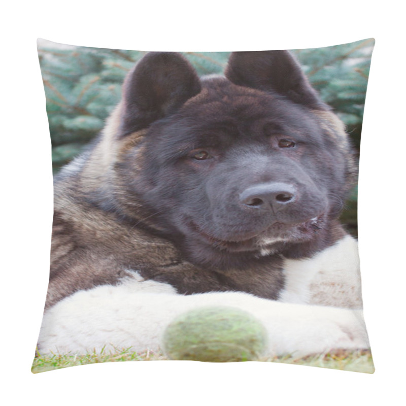 Personality  Tired Young Akita Inu Dog Pillow Covers