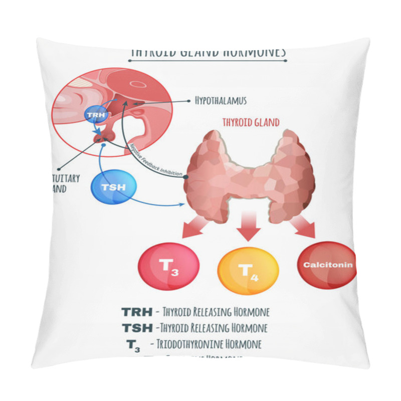 Personality  Endocrine System Image Pillow Covers