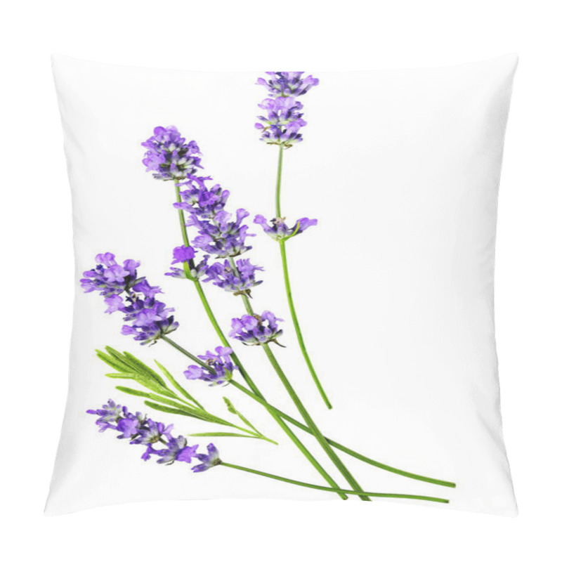 Personality  A Composition Of Several Lavender Flowers Isolated On A White Background. Pillow Covers