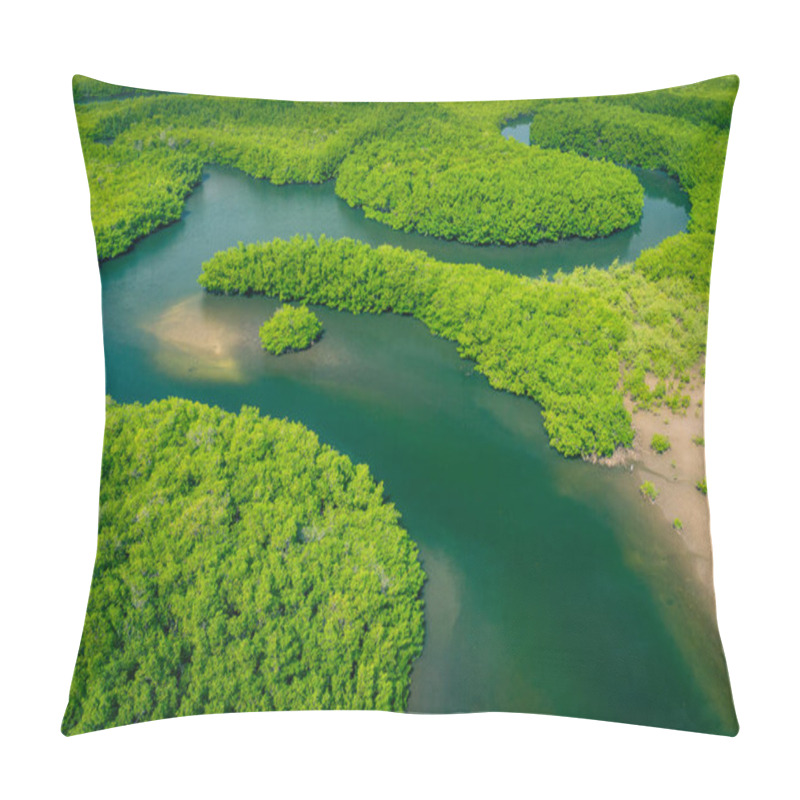 Personality  Aerial View Of Amazon Rainforest In Brazil, South America. Green Forest. Bird's-eye View.  Pillow Covers