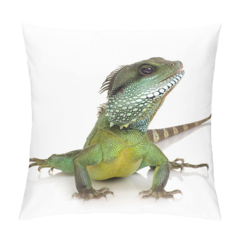 Personality  Indian Water Dragon - Physignathus Cocincinus Pillow Covers