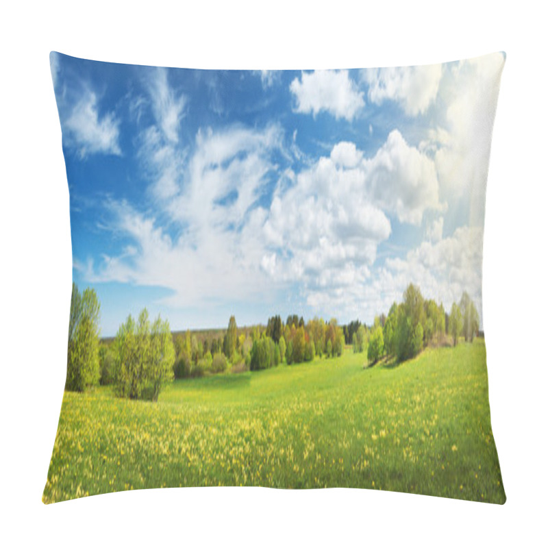 Personality  Field With Dandelions And Blue Sky Pillow Covers