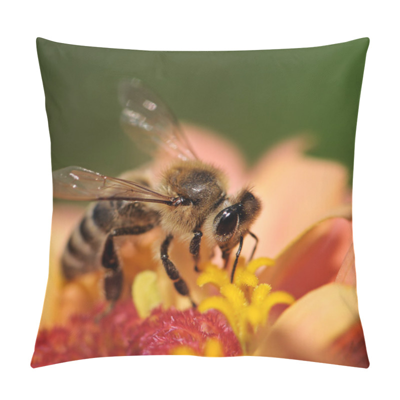 Personality  Honey Bee Pillow Covers