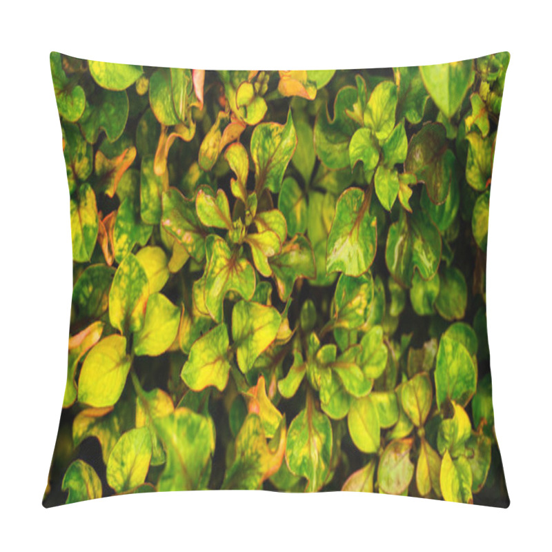 Personality  Close-up Of Vibrant Green And Yellow Leaves With Some Reddish Edges, Creating A Colorful And Textured Pattern. Pillow Covers