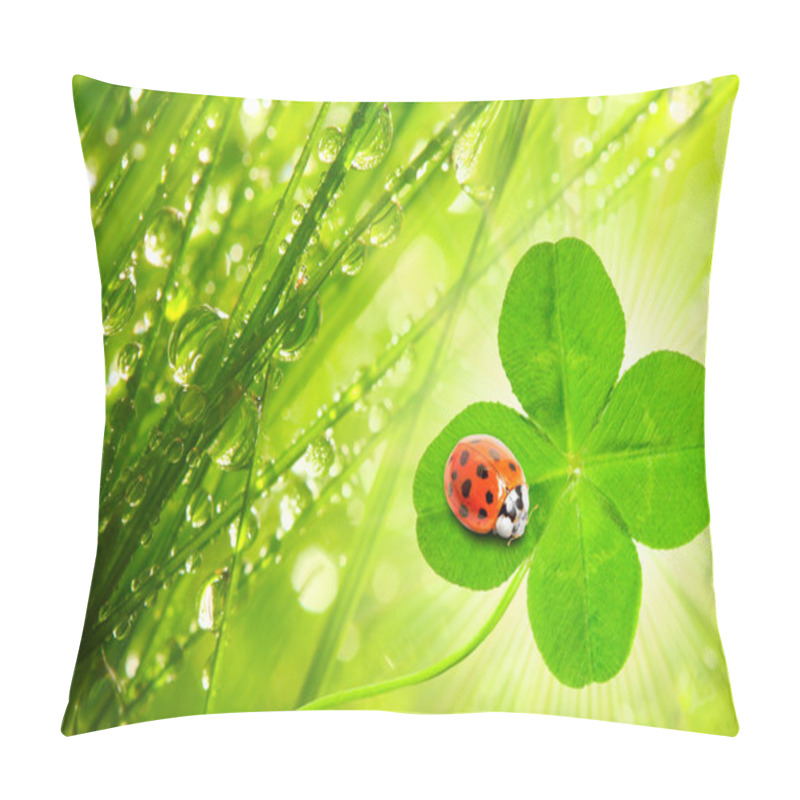 Personality  Dew, Clover And Ladybug Pillow Covers