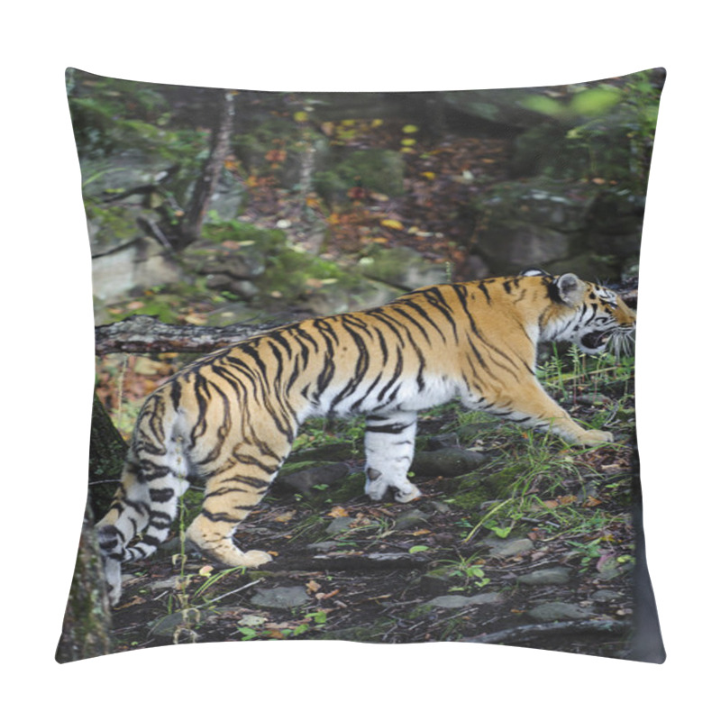 Personality  Ussuriyrsky Tiger Pillow Covers