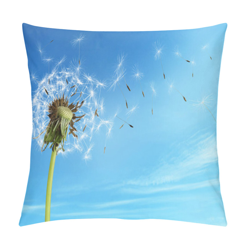 Personality  Beautiful Puffy Dandelion And Flying Seeds Against Blue Sky On Sunny Day  Pillow Covers