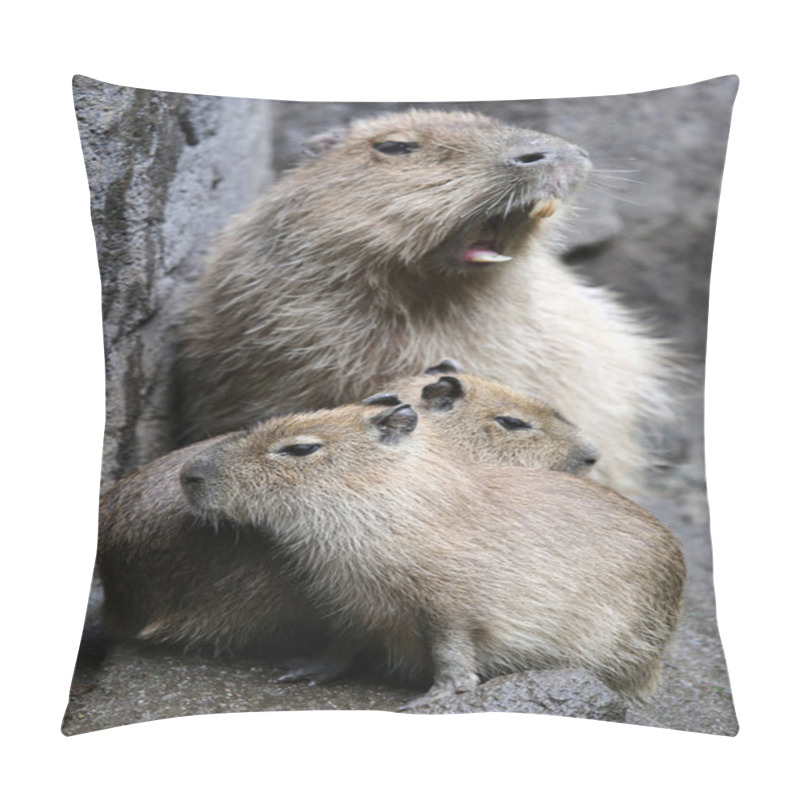 Personality  Capybara Family On Ground Pillow Covers