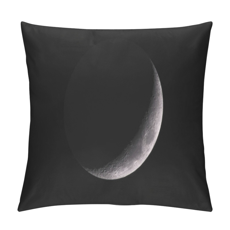 Personality  Moon From My Backyard's View Pillow Covers