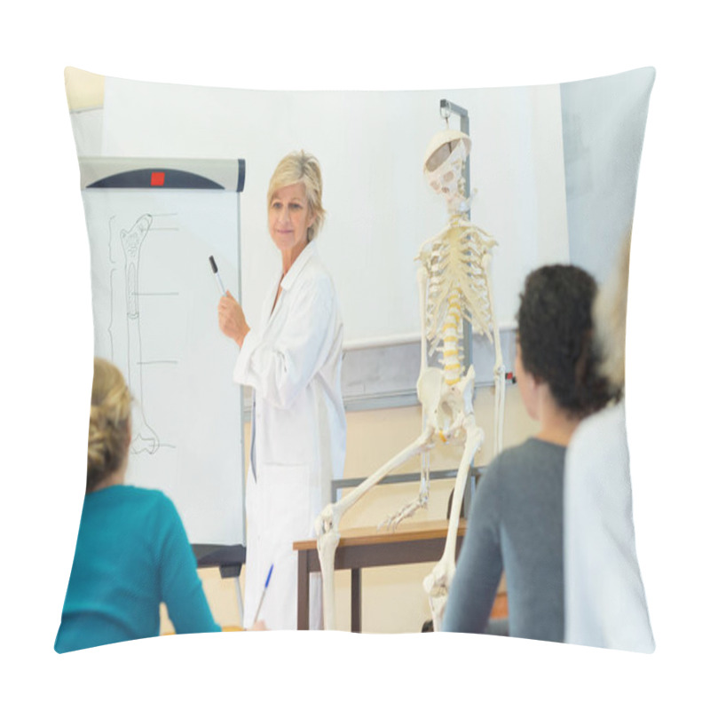 Personality  Teacher In Biology Class Pillow Covers