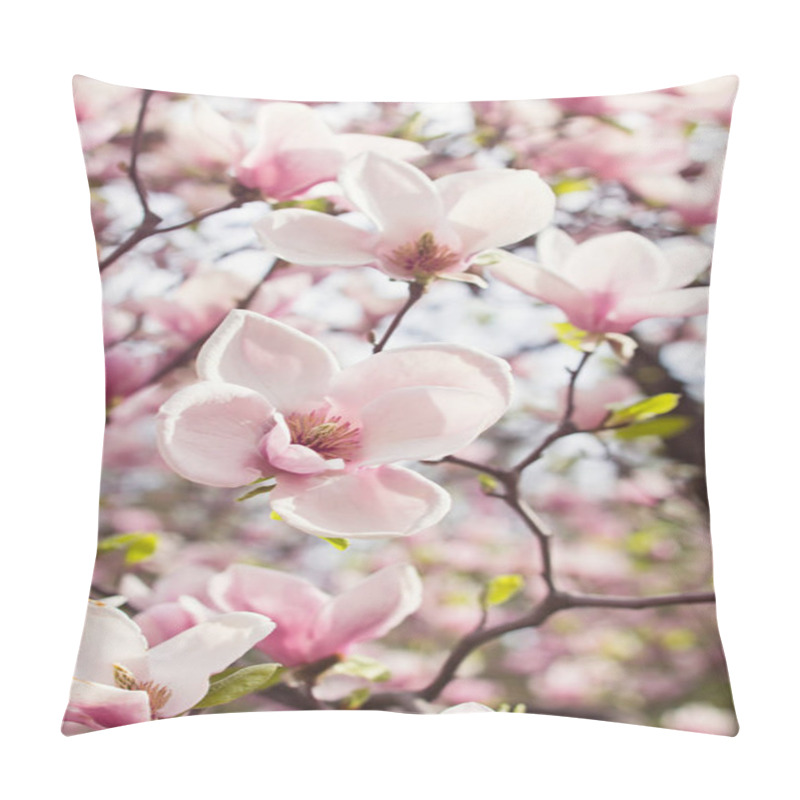 Personality  Flowers Of Magnolia Tree In Springtime Pillow Covers