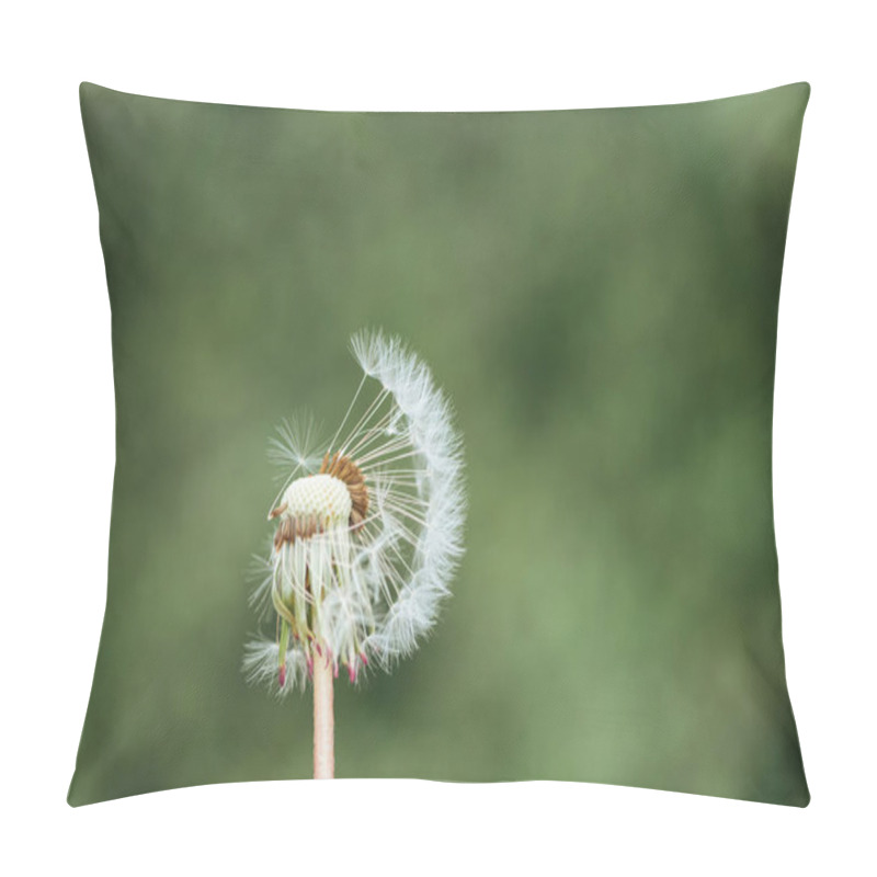 Personality  Close Up View Of Fluffy Fragile Dandelion On Blurred Green Background Pillow Covers