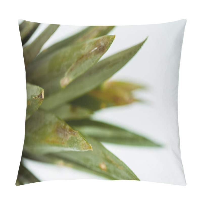 Personality  Close Up View Of Pineapple Green Leaves Isolated On White Pillow Covers