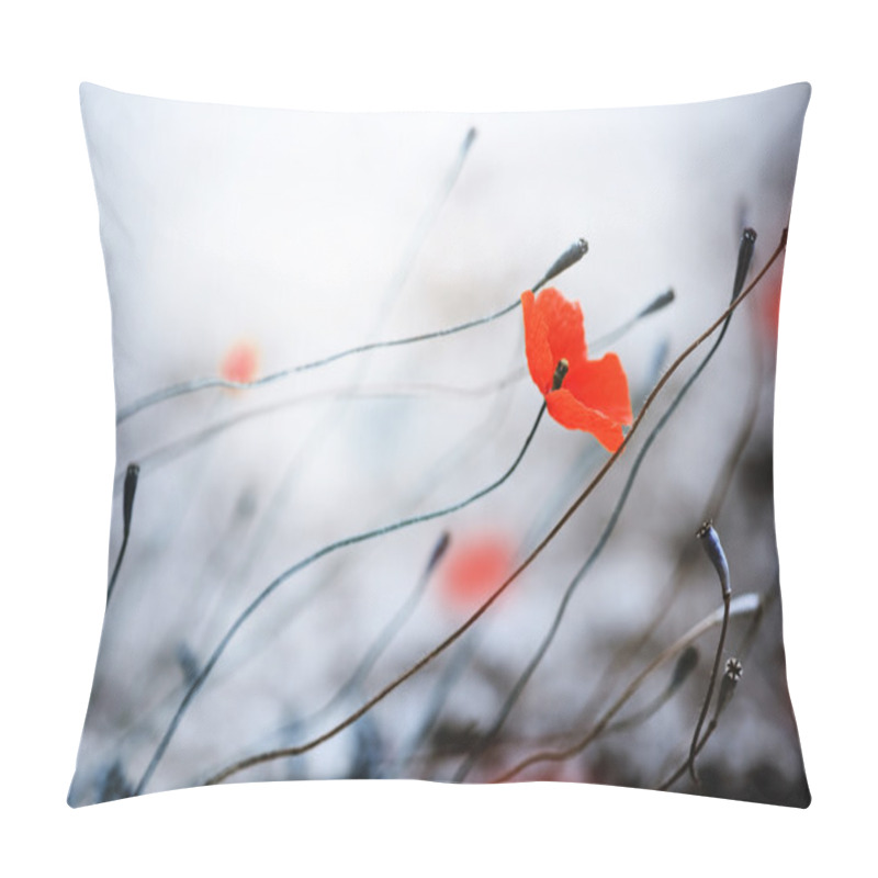 Personality  Abstract Poppies. Shallow DOF Pillow Covers