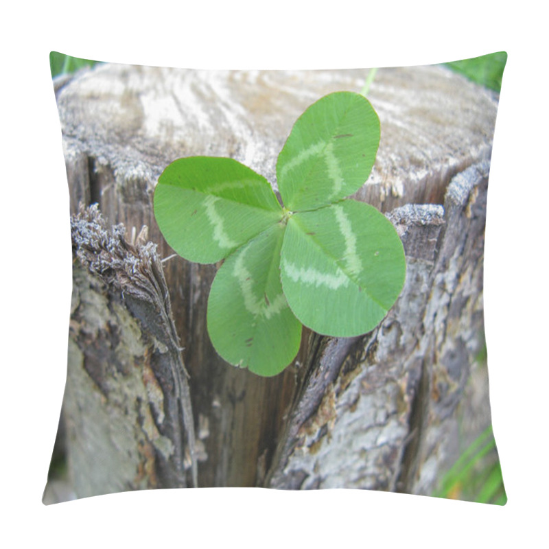 Personality  Four-leaf Clover Flower Brings Good Luck Pillow Covers