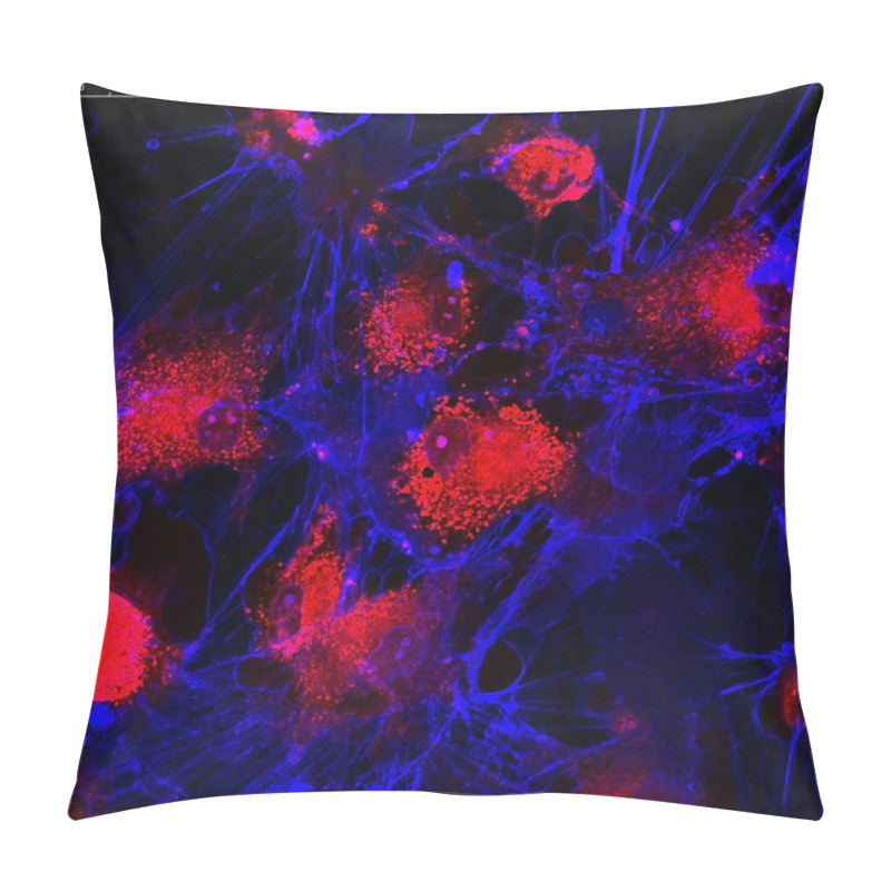 Personality  Mesenchymal Stem Cells Labeled With Fluorescent Molecules Pillow Covers