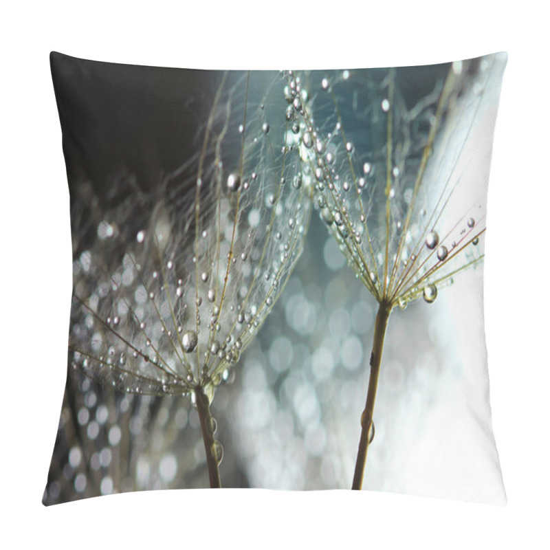 Personality  Water Drops On Dandelion Pillow Covers