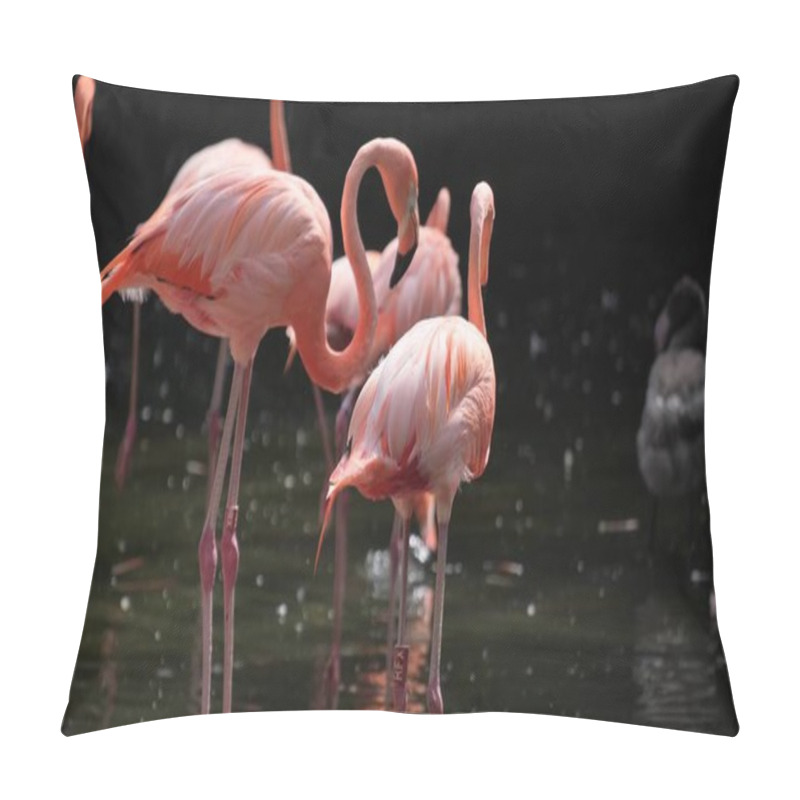 Personality  Flamingos Stand On The Bank Of A Pond With Trees In The Background. Wildlife In Forest . Pillow Covers