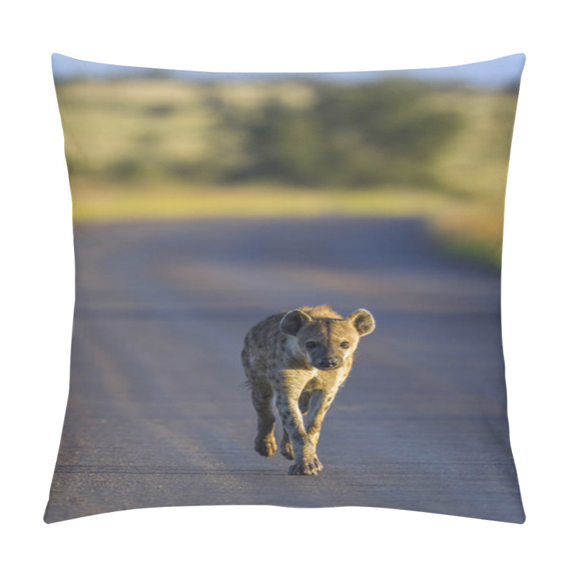 Personality  Spotted Hyaena In Kruger National Park, South Africa Pillow Covers