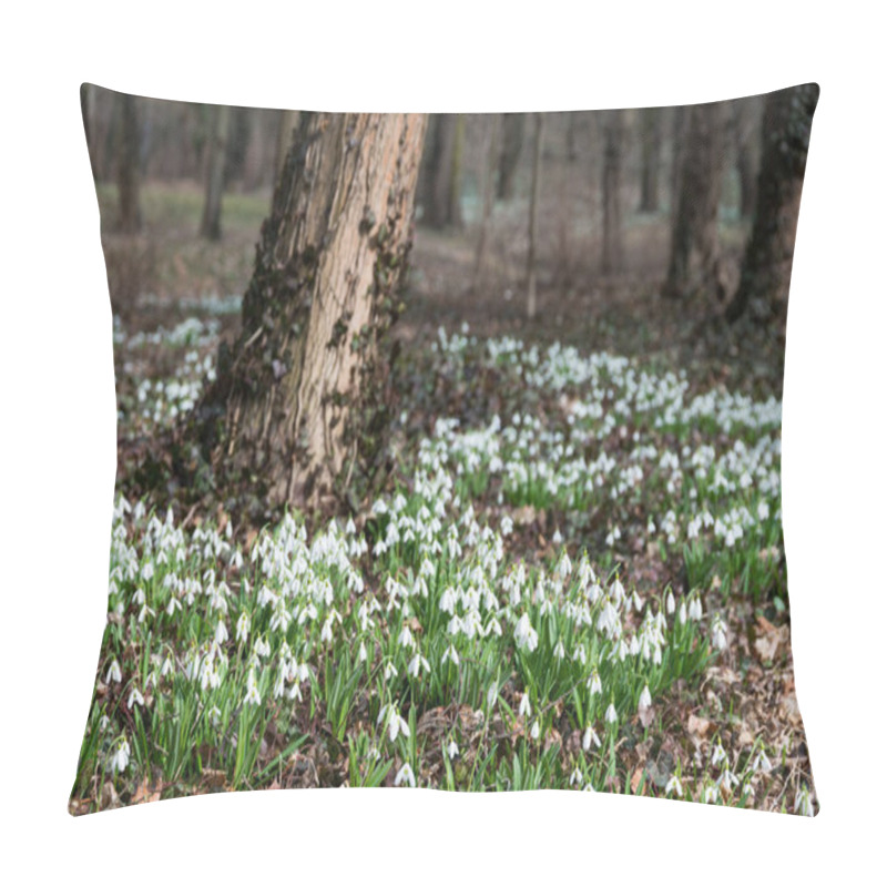 Personality  Beautiful White Snowdrops Pillow Covers