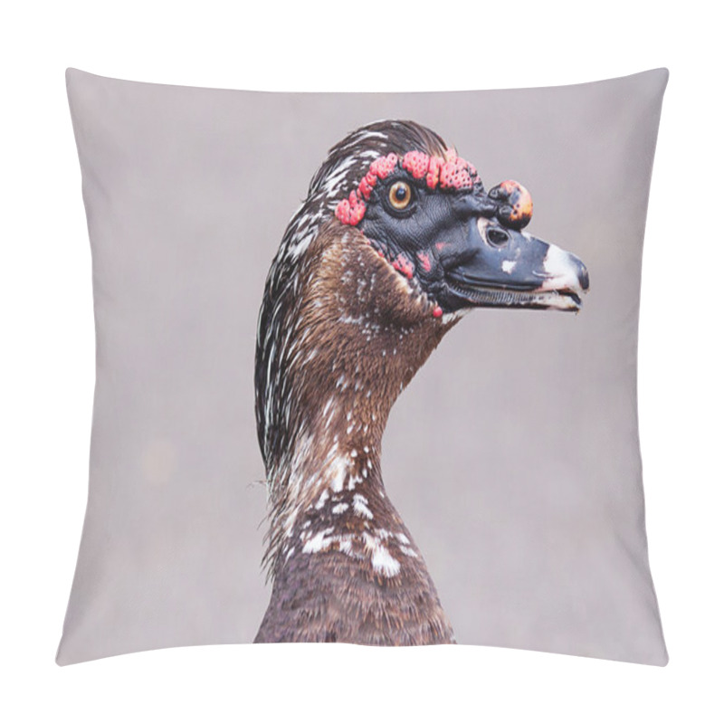 Personality  Duck Walking Down The Path At The Zoo Pillow Covers