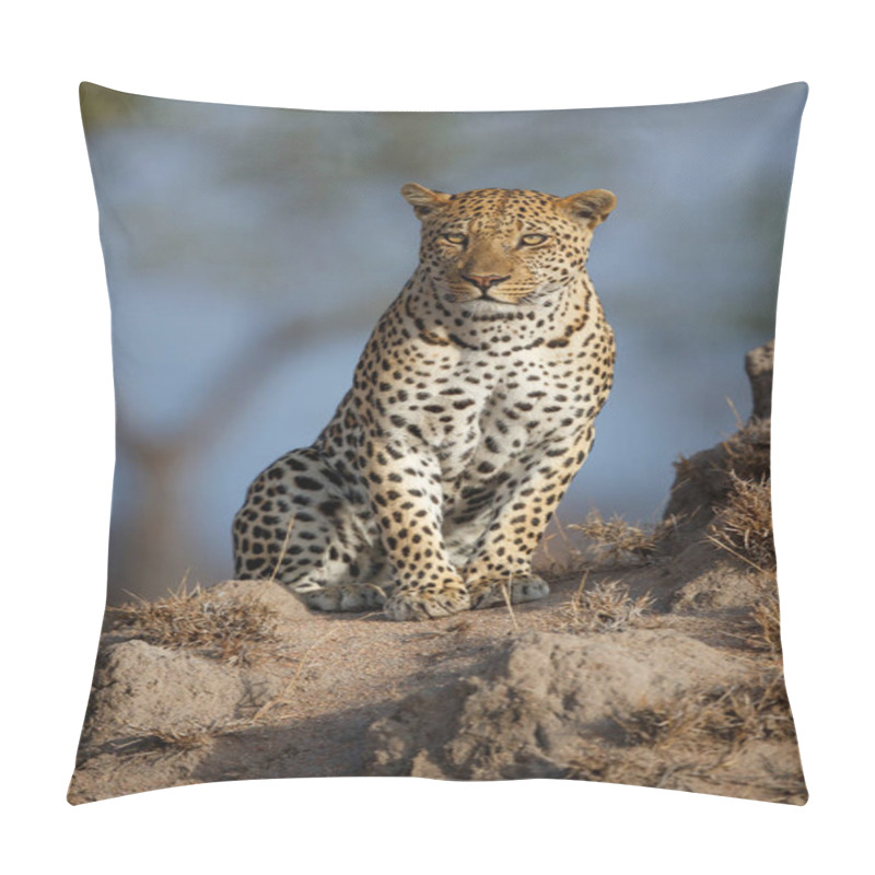 Personality  Leopard (Panthera Pardus) Male Searching For Food In Sabi Sands Game Reserve In The Greater Kruger Region In South Africa Pillow Covers