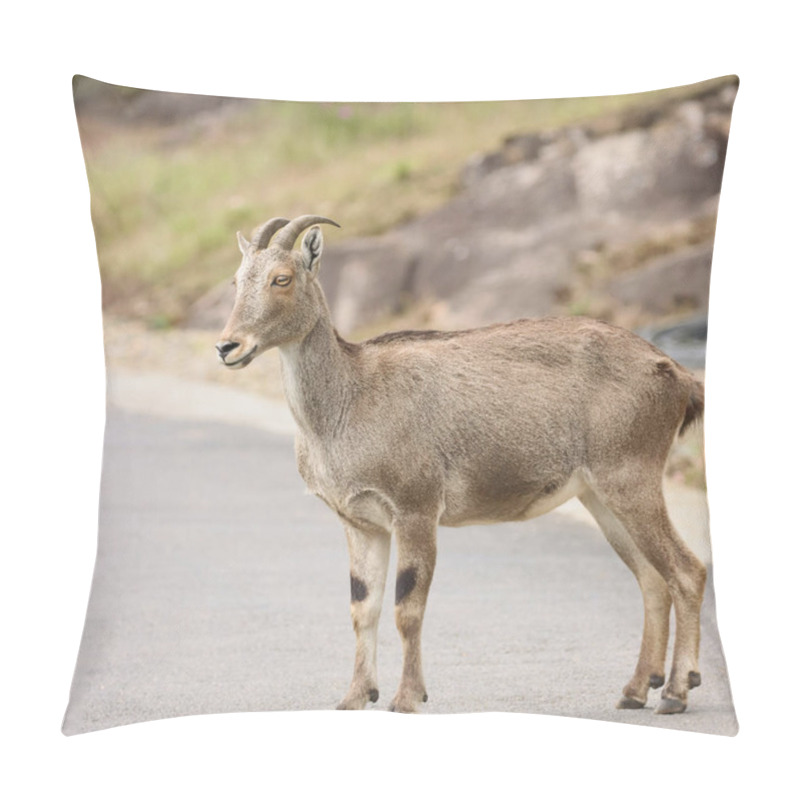 Personality  This Captivating Photograph Features A Nilgiri Tahr Standing Majestically On Rugged Mountain Terrain. Its Thick, Brown Coat And Curved Horns Are Beautifully Highlighted Against The Lush Green Backdrop, Pillow Covers