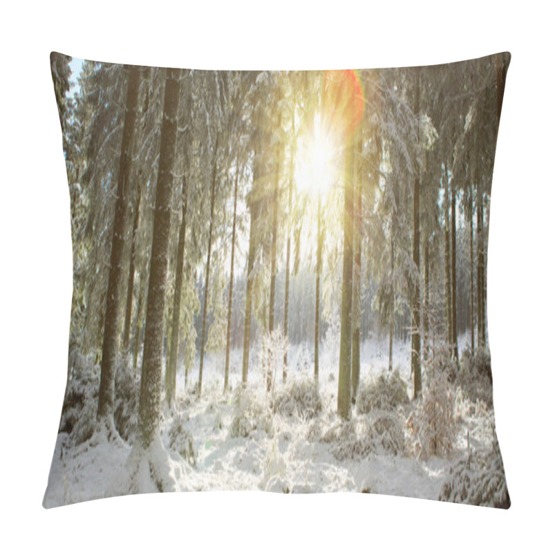 Personality  Sunset In Winter Forest. Winter Nature Background. Pillow Covers