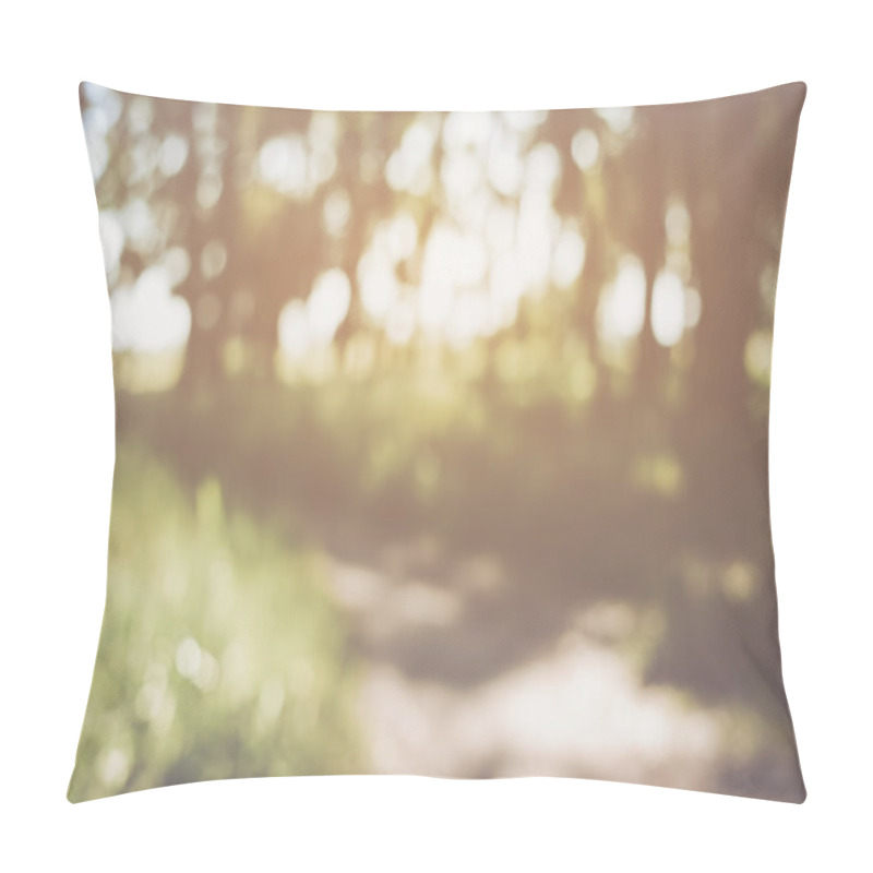 Personality  Blurred Nature Background Pillow Covers