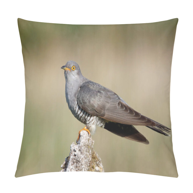 Personality  Male Cuckoo Feeding And Displaying Pillow Covers