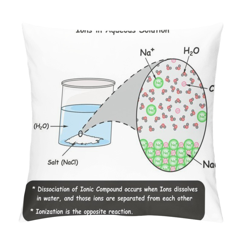 Personality  Ions In Aqueous Solution Infographic Diagram Showing Dissociation Reaction Of Sodium Chloride Crystals In Water And How Ions Separated For Chemistry Science Education Pillow Covers