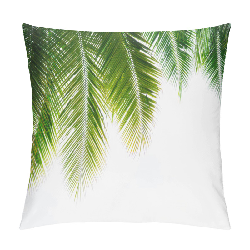 Personality  Background Of Green Coconut Palm Leaf On White Sky Background Pillow Covers