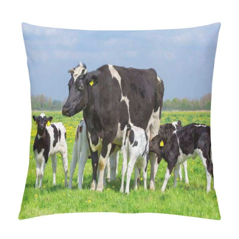 Personality  Black And White Mother Cow With Group Of Calves In Green Dutch Meadow Pillow Covers