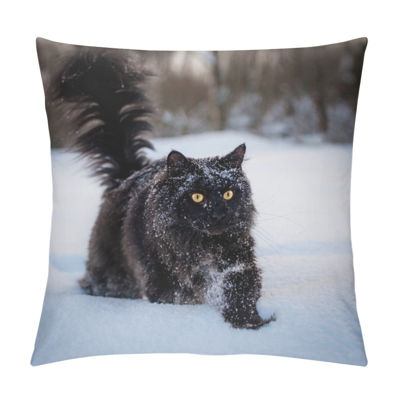 Personality  Black Maine Coon Cat Portrait In Winter Field Pillow Covers