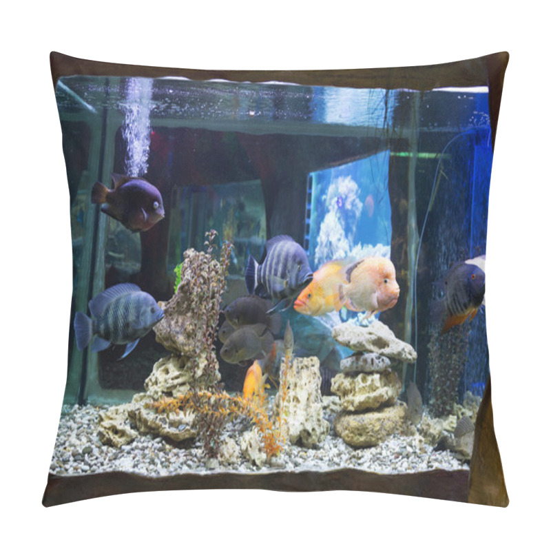 Personality  The Underwater World. Bright Exotic Tropical Coral Fish In The R Pillow Covers