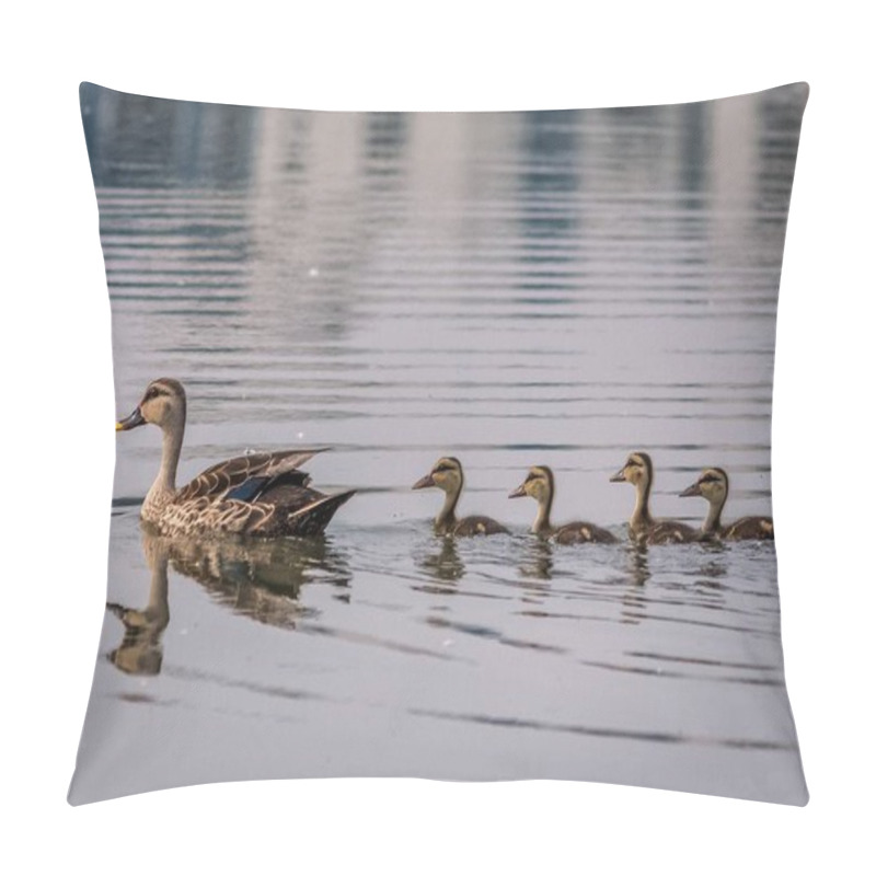 Personality  Grey Teal Duck Family With A Group Of Baby Ducklings On A Lack, Chennai.India Pillow Covers