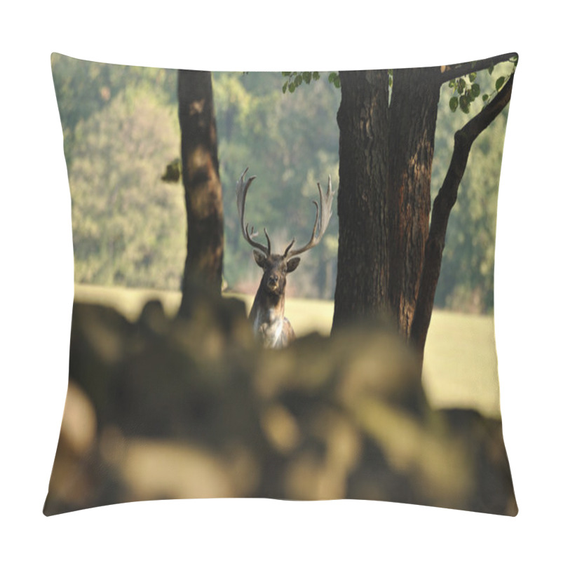 Personality  Fallow Deer With Forrest In Background Pillow Covers