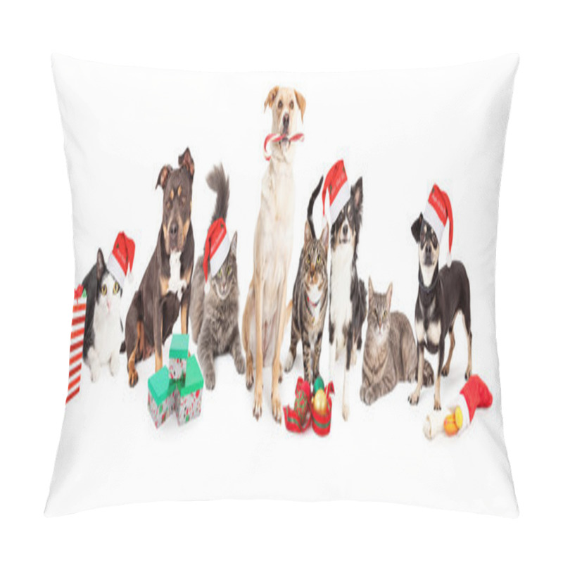 Personality  Christmas  Group Of Cats And Dogs Pillow Covers